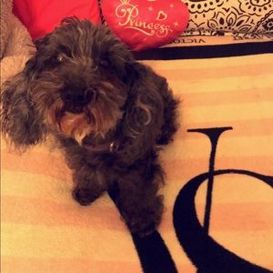 Meet your Posher, Jersey